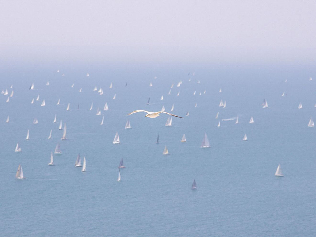 Round the Island Race
