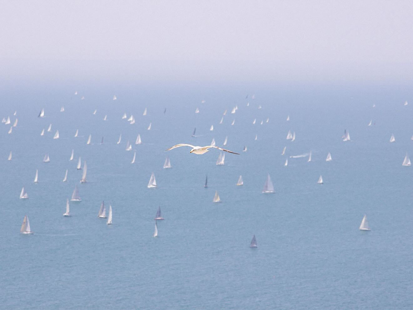 Round the Island Race