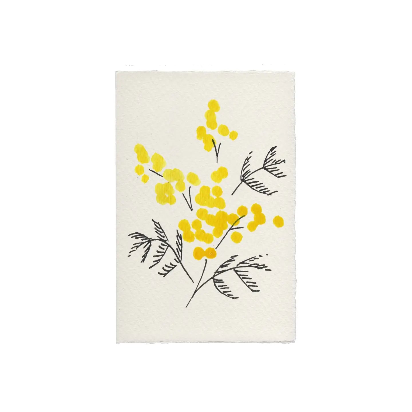 Mimosa Card