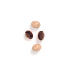 Seagull Eggs