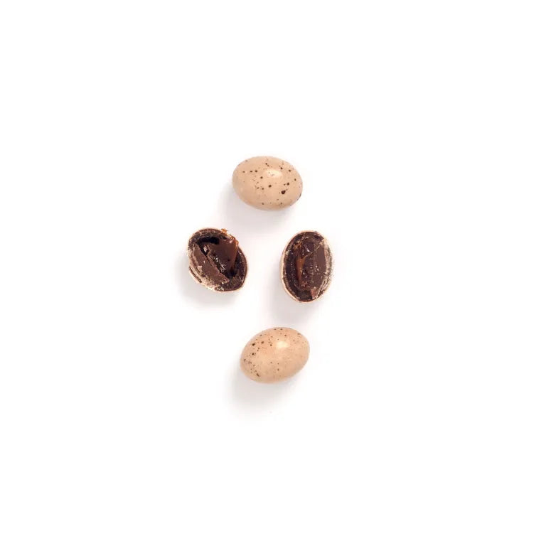 Seagull Eggs