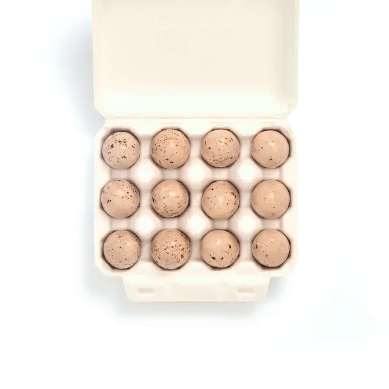 Seagull Eggs