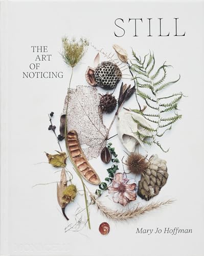 Still the Art of Noticing